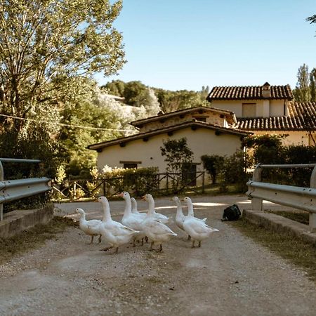 Agriturismo Le Radici 움베티드 외부 사진