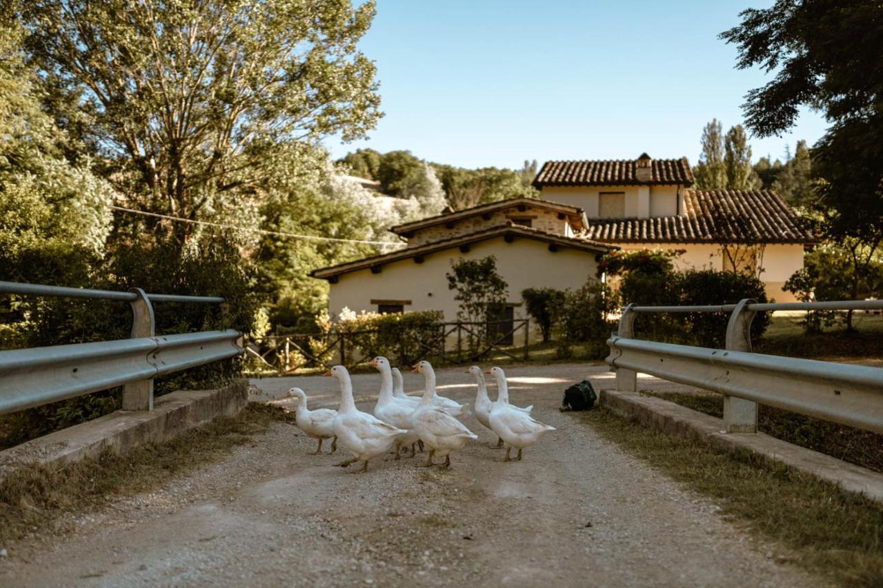 Agriturismo Le Radici 움베티드 외부 사진