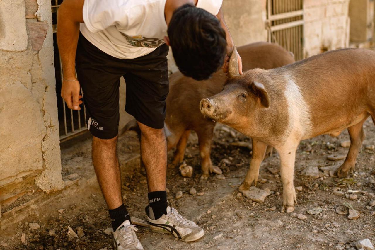 Agriturismo Le Radici 움베티드 외부 사진
