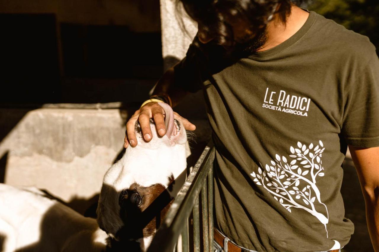 Agriturismo Le Radici 움베티드 외부 사진